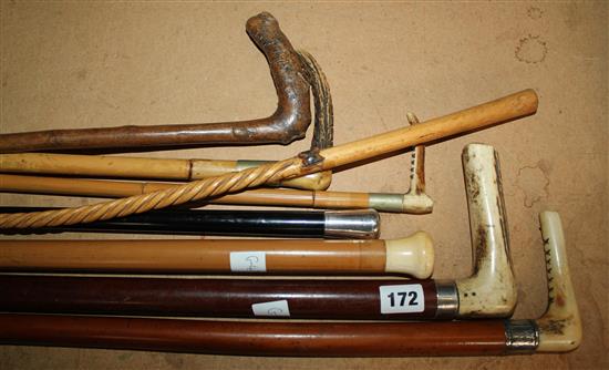 Horse measuring stick & other walking canes & crops